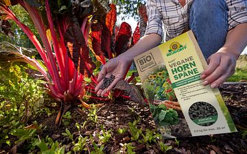 Azet Vegane Hornspäne von Neudorff erhielten eine Auszeichnung vom DIY Fachmagazin