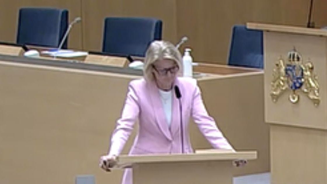 The Finance Minister is not afraid of the decline in wind energy profitability – questioning discussion in the Riksdag |  Elsa wedding