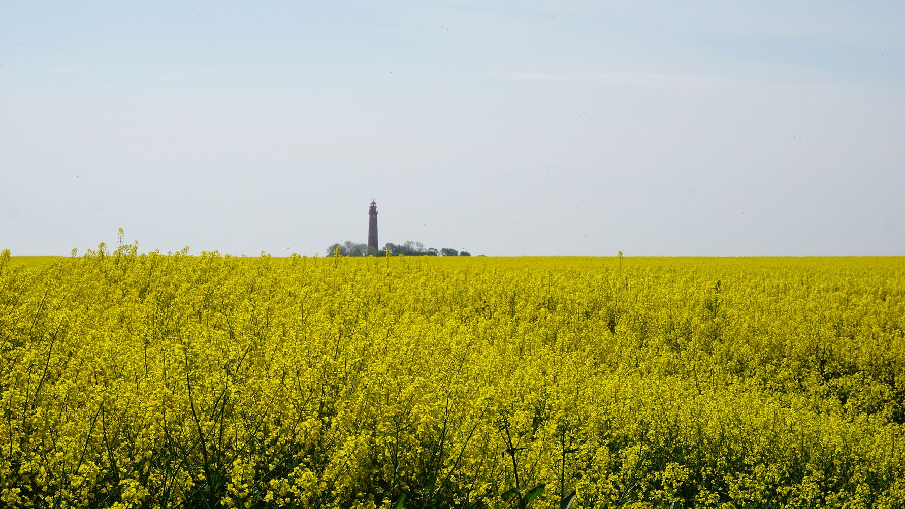 Willkommen auf Fehmarn  Fehmarn Tourismus