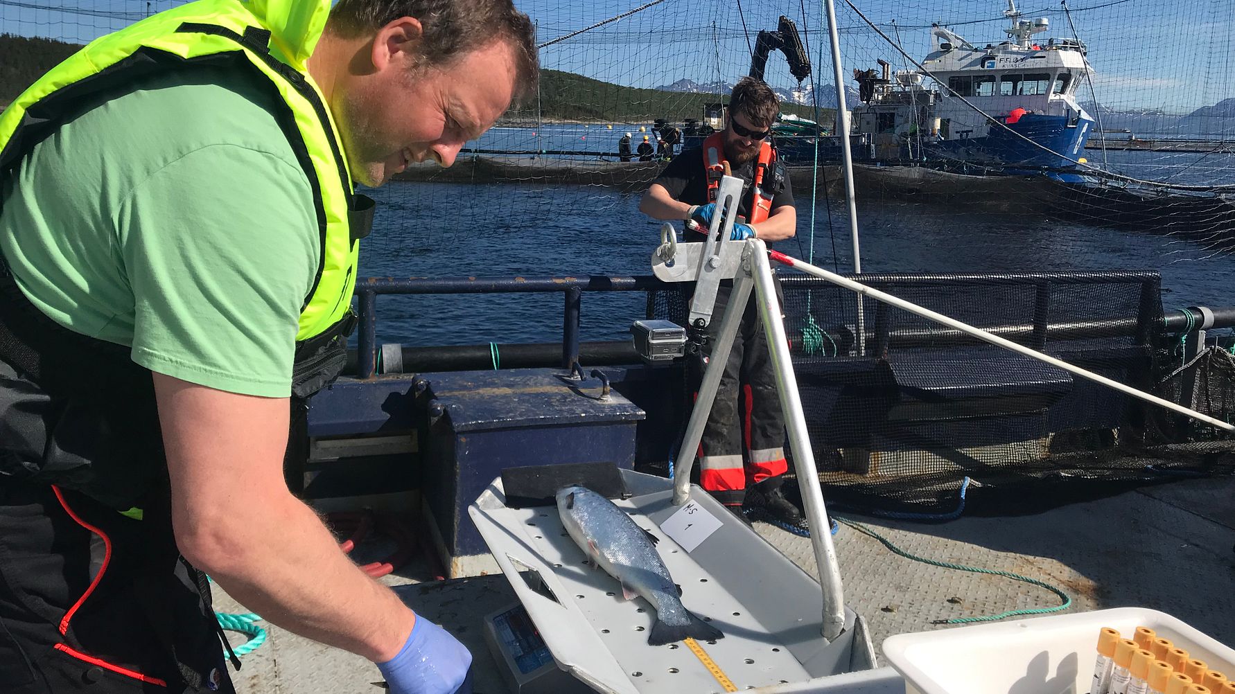 Roy-Inge Hansen har lang fartstid fra fiskehelsearbeid. 1. oktober er han på plass på Island.