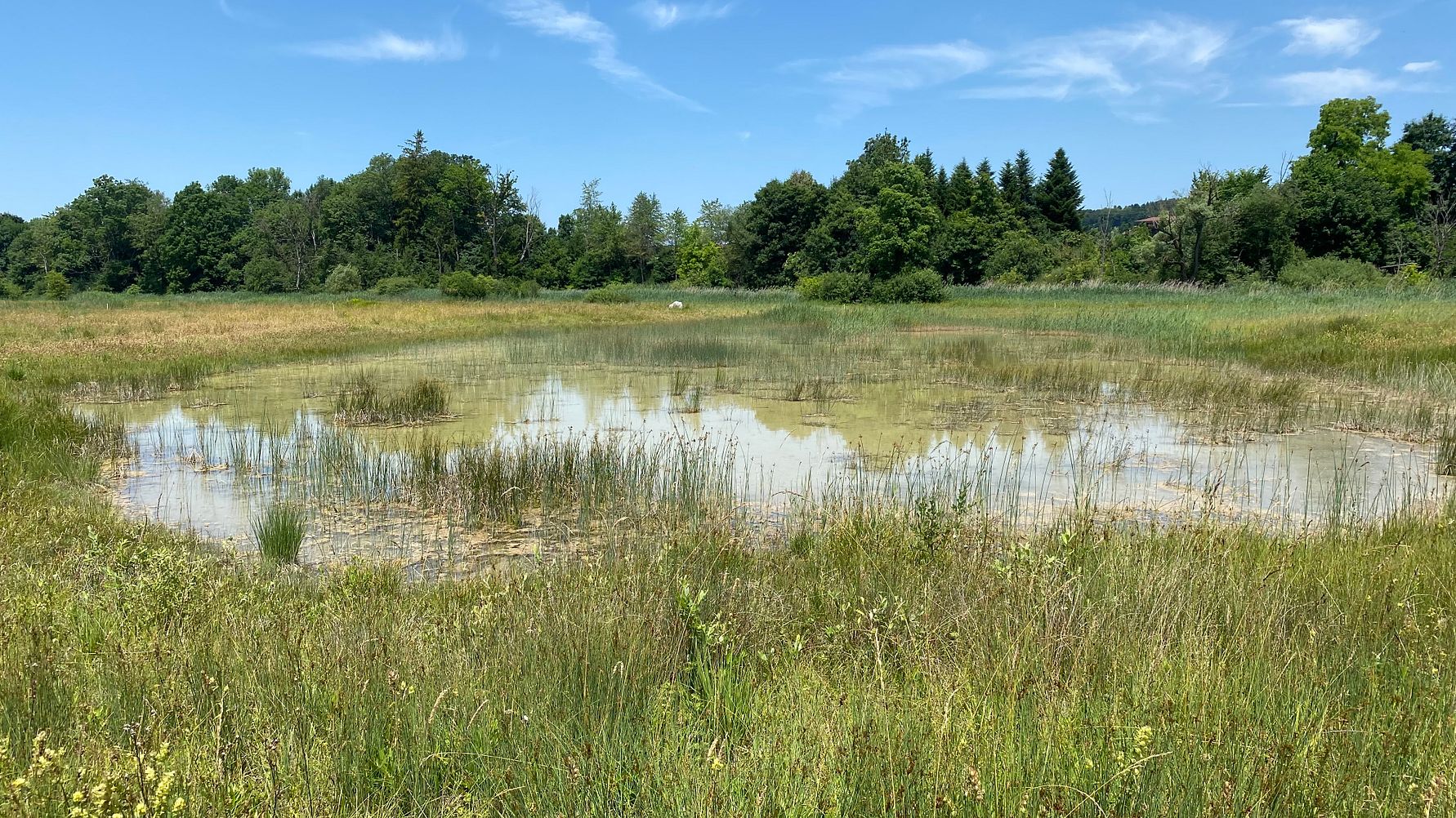 Naturschutzgebiet Hechtenloch bei Münsingen