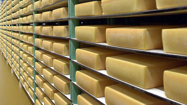 Arla yellow cheese production