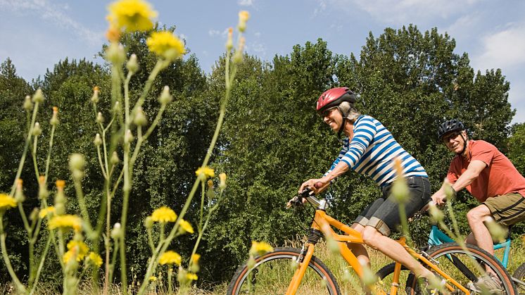Sommer, Sonne, Sport: Radtouren halten fit und kräftigen die Muskulatur. (Foto: Biolectra/Image Source/Charles Gullung)