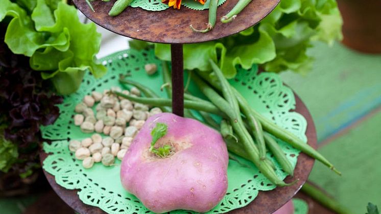 Välkommen till blomstrande inspiration med Minna Mercke Schmidt + sju sorters kakor