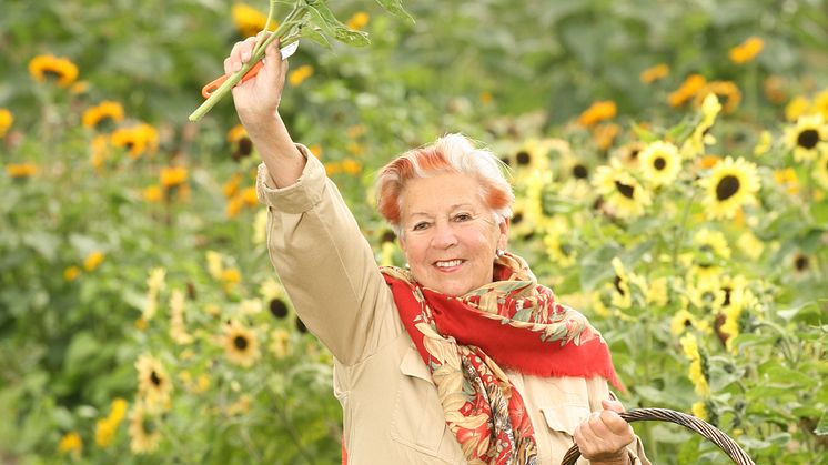 Kerstin Dellert är årets Regnbågsartist
