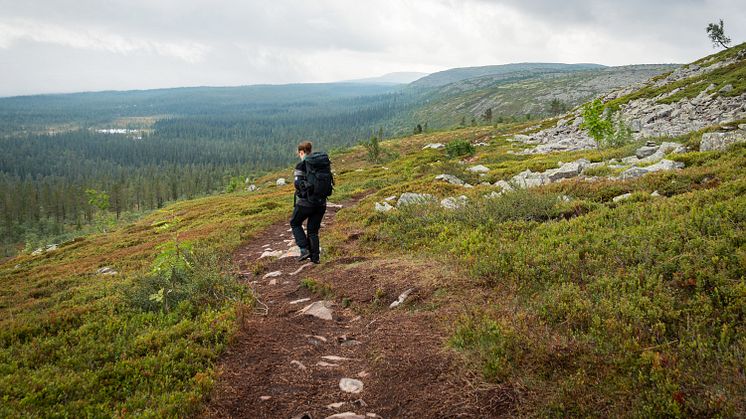 Älvdalens kommun säger ja till fortsatt samarbete med Visit Dalarna. Foto: Anna Holm