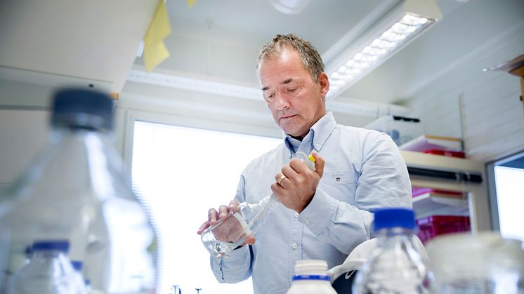 Stefan Björklund, professor vid Institutionen för medicinsk kemi och biofysik, Umeå universitet, i sitt labb. Foto: Johan Gunséus.