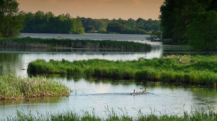 2024-09-11 Wallenberg Lecture: Wetlands as a Nature-based Climate Solution