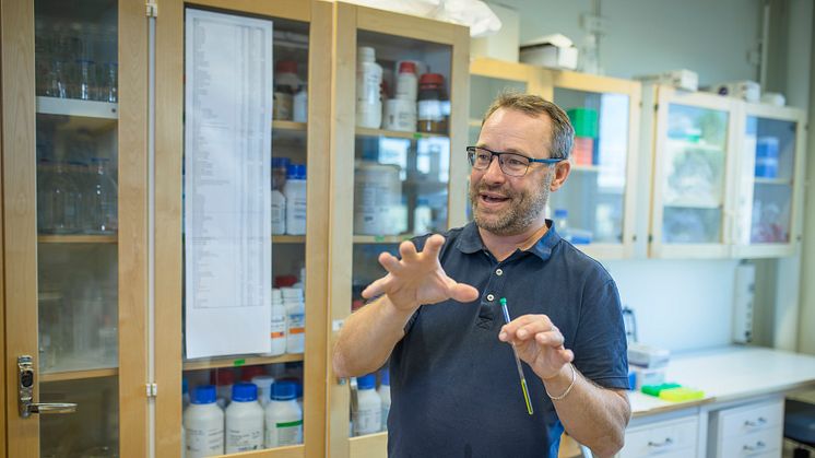 Umeåprofessorernas upptäckt är viktig för att förstå en mängd olika biologiska processer i cellerna. Foto: Mattias Pettersson