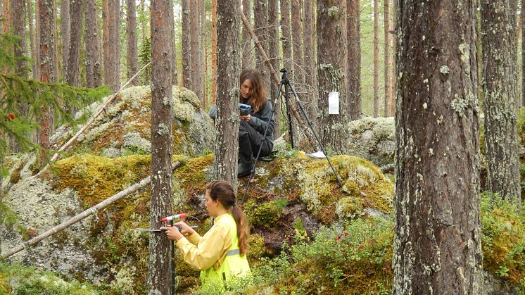 2024-05-02 Seminarium: Vad innebär EU:s lagstiftning om skogsövervakning och skoglig planering i Sverige?