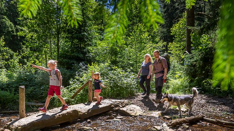 Wander_Wald_Familie_Geyer_20_Foto_TVE_Uwe Meinhold.jpg