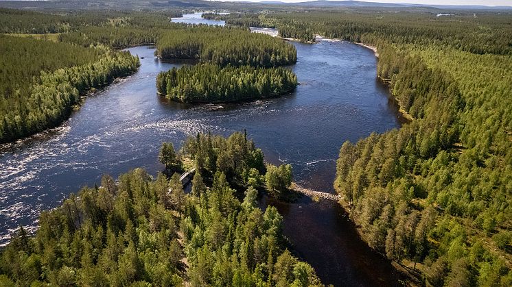 En resa längs den outbyggda Vindelälven och dess biflöden.