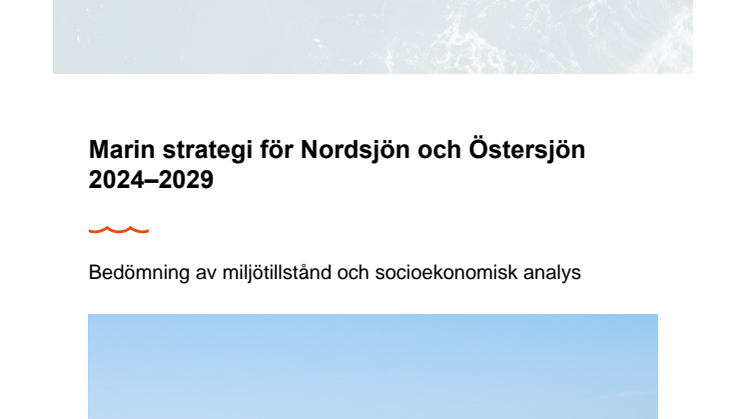 marin-strategi-for-nordsjon-och-ostersjon-2018-2023.pdf
