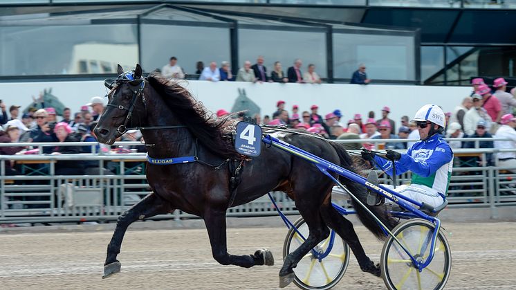 Järvsöodin kommer för att ta revansch framför Elitloppspubliken Foto: TR Bild