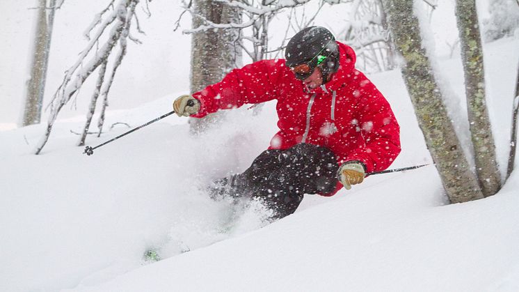 SkiStar AB: Goda snöförhållanden för skidåkning inför jul och nyår