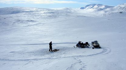 Liten konkurrens mellan lo och järv i fjällen