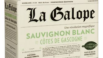 Nyhet i beställningssortimentet - La Galope, klassisk fransk Sauvignon Blanc från Côtes de Gascogne!