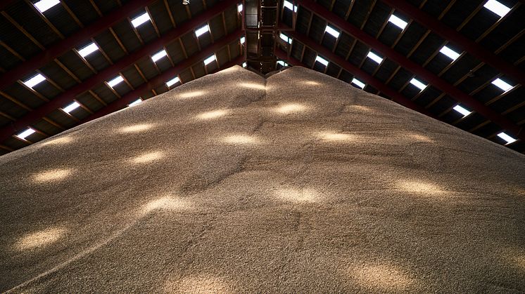 CM Biomass, pellets 2023