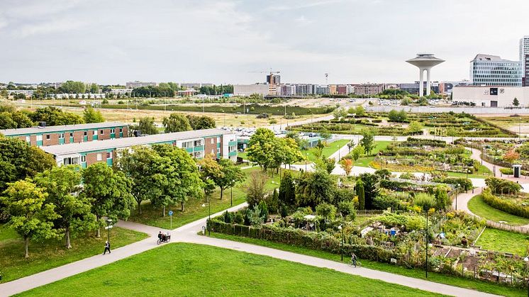 Vill du bygga i Holma? Nu öppnar Malmö stad för nya markanvisningar i området.