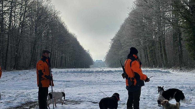 Natlink et l’ANJC s’associent pour améliorer la sécurité de la chasse en France, la planification, l’exécution et le suivi grâce à la digitalisation.
