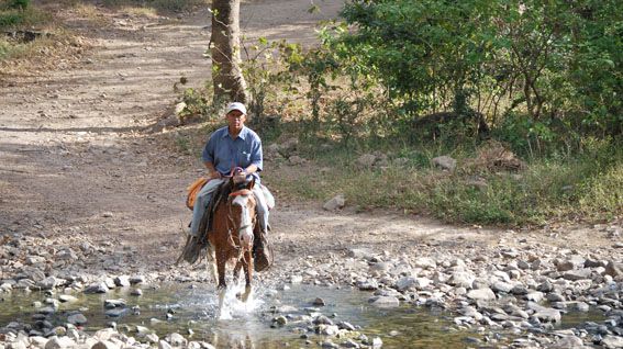 San Juan de Limay - Trädplanteringen