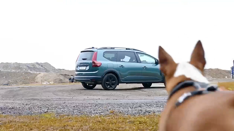 Dacia Jogger på Muddy Paws K9 Biathlon