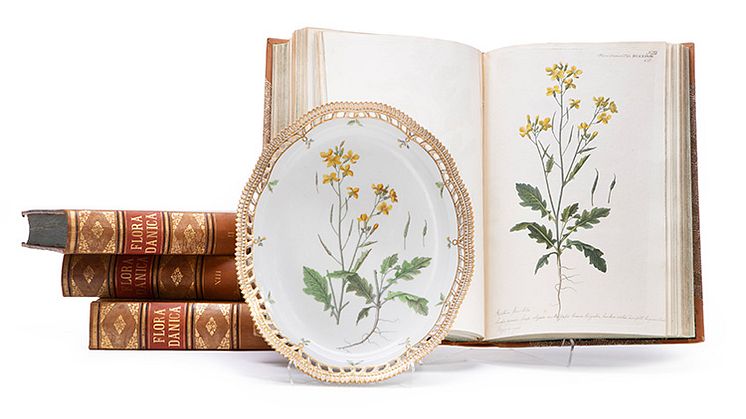 På Bruun Rasmussens auktion kommer dele af det originale Flora Danica-stel samt nyere udgaver under hammeren. Derudover udbydes et komplet sæt på hele 18 bind af hovedværket Flora Danica, som stellets botaniske motiver er baseret på. 