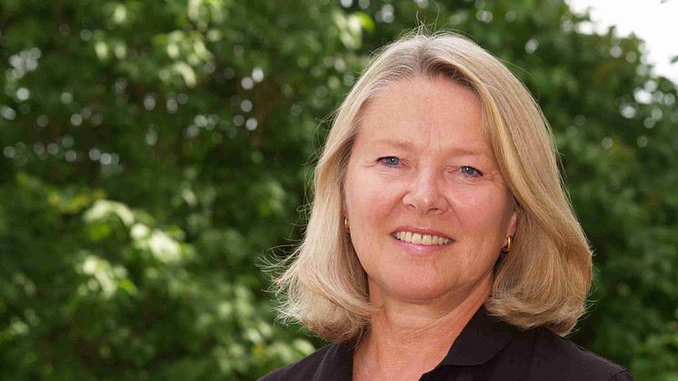 Lisa Sennerby Forsse ordförande i nätverk