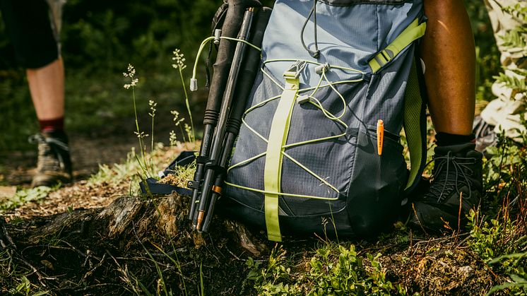 Auf geht's zum Sächsischen Wandertag nach Lugau (Foto: TVE/Dirk Rückschloß)