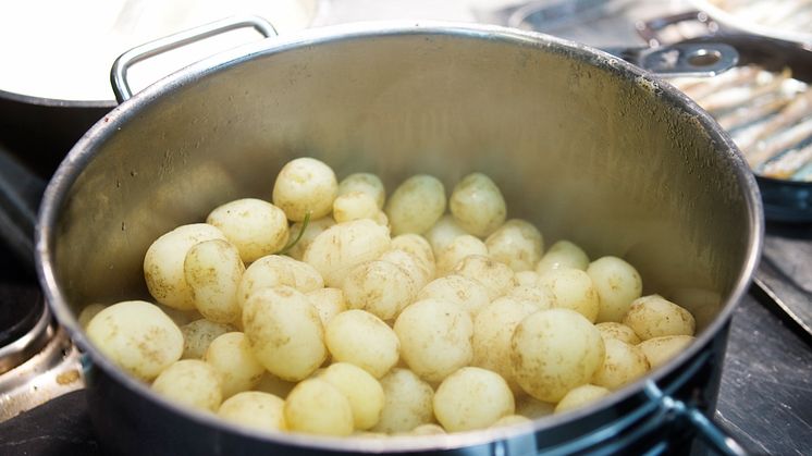 Kokt potatis i topp bland skolelever!