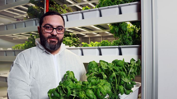 Nawras Alashour är utvecklingschef på startupsbolaget BlåGrön Odling.