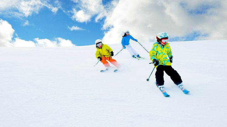 SkiStar AB: Pant från fjällen räcker till 26 000 timmar i bastun