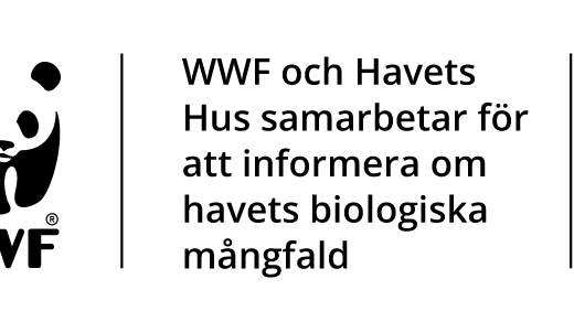 Havets Hus_WWF_partnership_SW.png