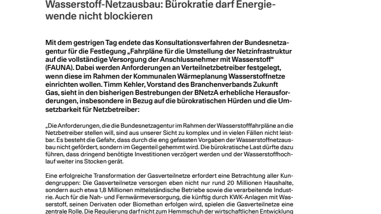 20240917_Pressestatement_Wasserstofffahrpläne.pdf