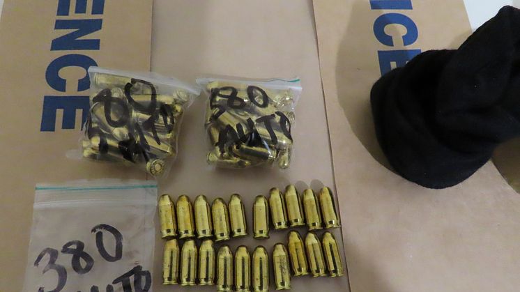 Recovered ammunition.JPG