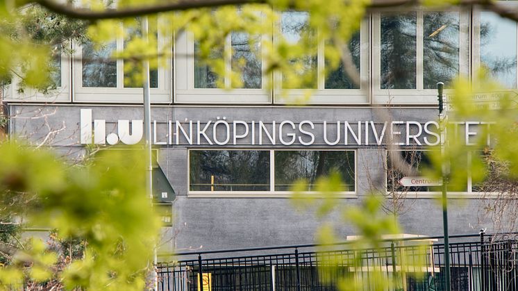 Sommartips från Linköpings universitet 2024