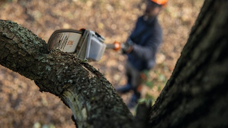 Teleskooppivarren ansiosta STIHL HTA 160 -akkuoksasahalla yltää korkealle maasta käsin. Varren kokonaispituutta voi säätää ilman työkaluja välillä 285–405 cm.