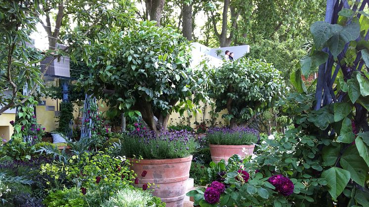 SM i blomsterbinderi och Årets täppa