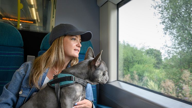 Let the dogs out! UK’s largest rail company launches travel guide to help city canines explore beaches and countryside