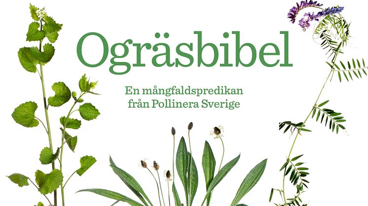 PR-bild Ogräsbibel.jpg
