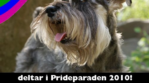 Svenska Kennelklubben i Prideparaden 2010