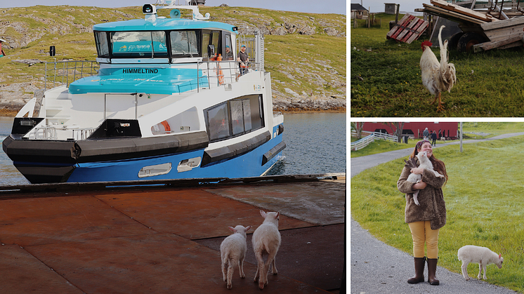 Tiny and Stein with the Nordland Express Boat, Selvær, Træna