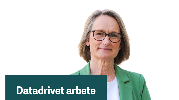 Johanna Karlén, kvalitetschef Swedish Edtech Industry, presenterar ny guide om datadrivet arbete.