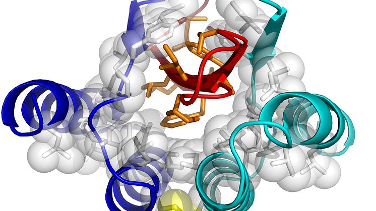 Protein engineering advancing Alzheimer’s research