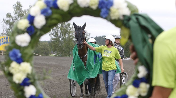 En halv miljon till vinnaren i Sommartravets Final