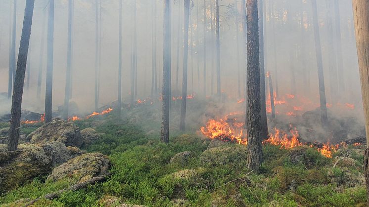 Naturvårdsbränningar i Falu kommun och Rättviks kommun