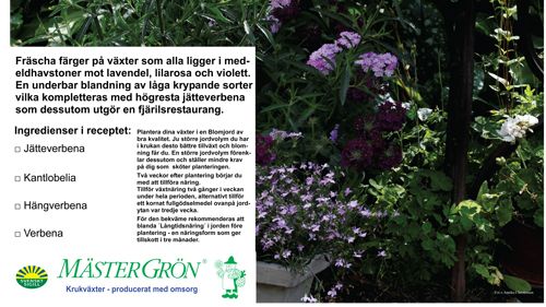 Recept på en lyckad plantering i juni-juli