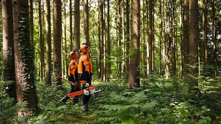 En rapport från STIHL belyser en enighet gällande inställningen till hållbarhet och klimatansvar i den nordiska skog- och grönytebranschen. 