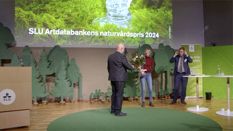 Lena Gustafsson får SLU Artdatabanken naturvårdspris vid konferensen Flora- och faunavård 2024.
