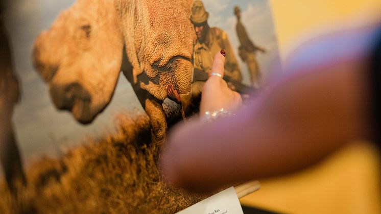 "Rhino Wars" av Brent Stirton